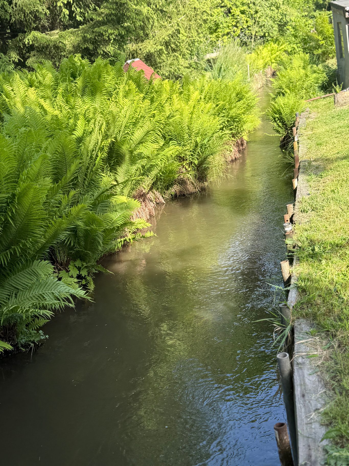 kleines Bächlein hinter dem Haus